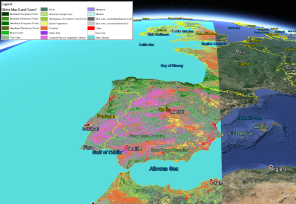 Global land cover